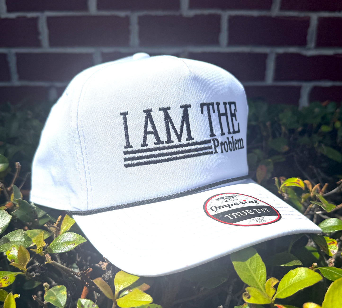 I Am The Problem Embroidered Hat