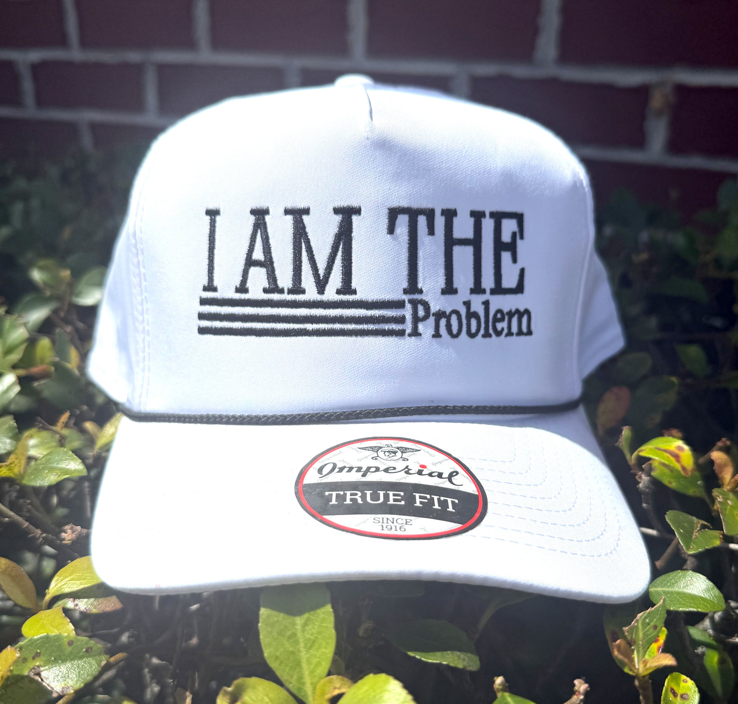 I Am The Problem Embroidered Hat