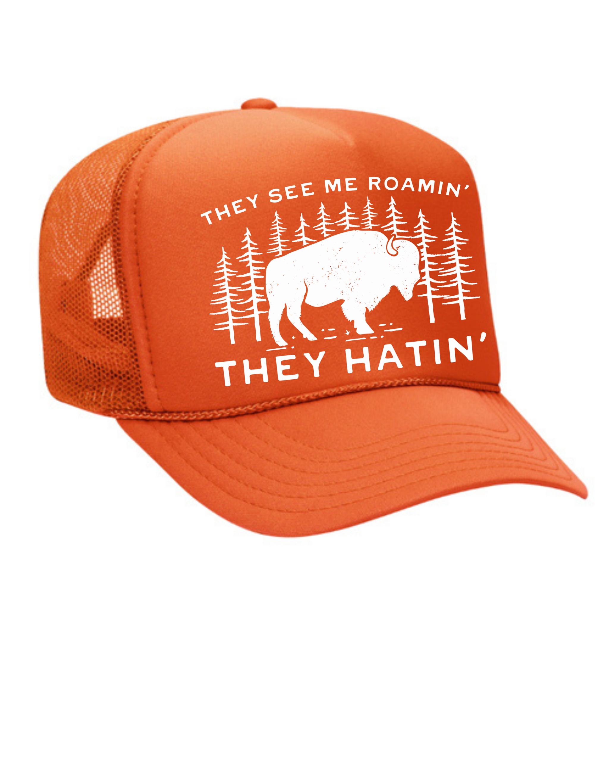 They See Me Roamin' Trucker Hat